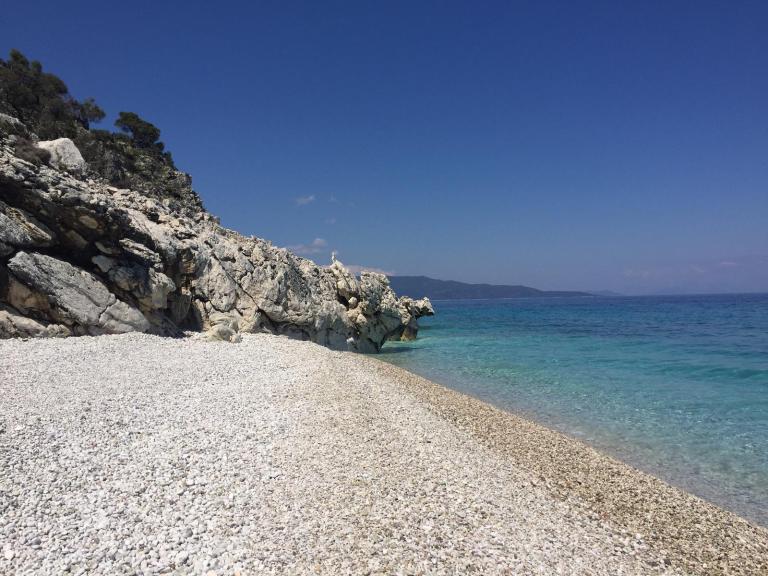 Xilomata ebach half day